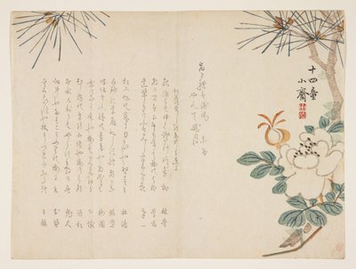 Kiefer und eine Pfingstrosenblume, 1860 von Tanomura Shsai